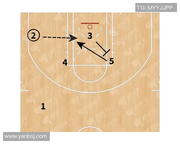 运动最新数据上海排球队包夹战术的优缺点分析与未来发展方向探讨