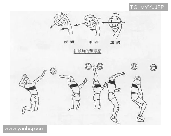 运动最新数据排球战术西安排球队进攻体系的创新与实践探讨